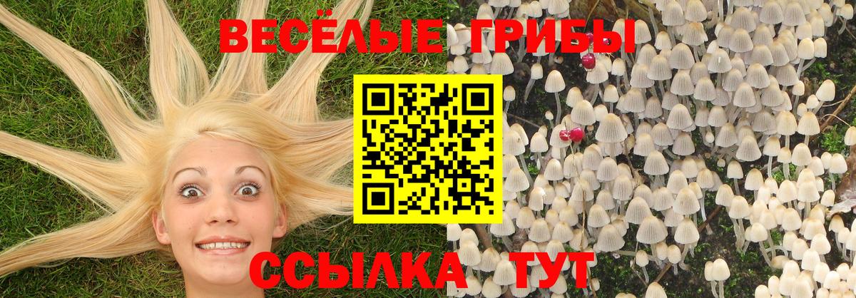 Галлюциногенные грибы MAGIC MUSHROOMS  Вход с VPN  продажа наркотиков  Моздок  Галлюциногенные грибы GOLDEN TEACHER 